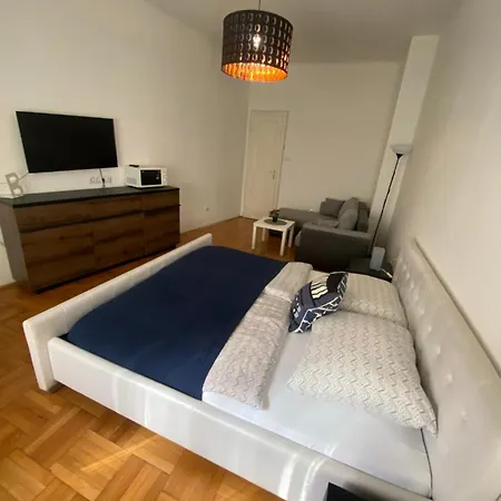 Promenade Near The Danube